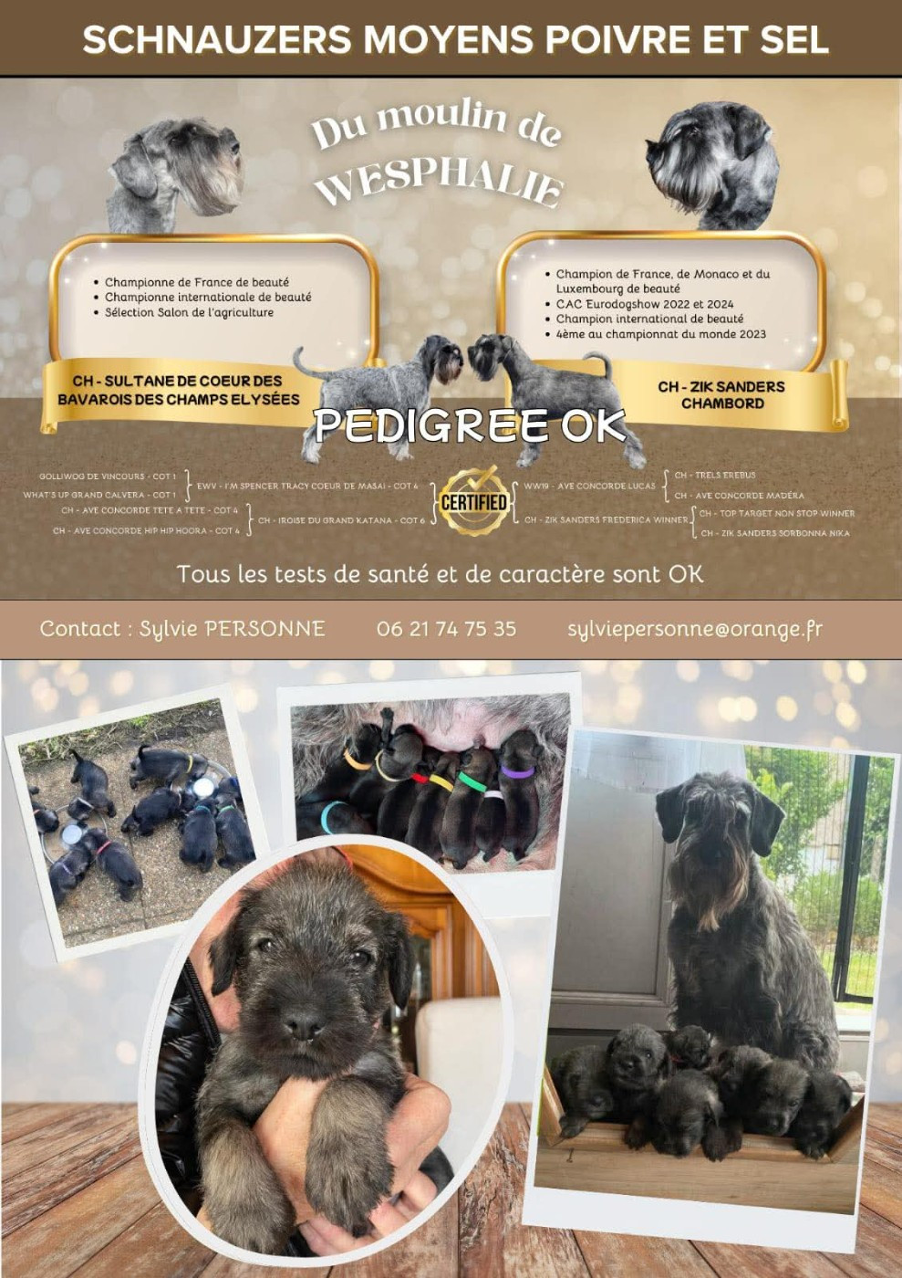 Pedigree Parents Portée du 12 Novembre 2025